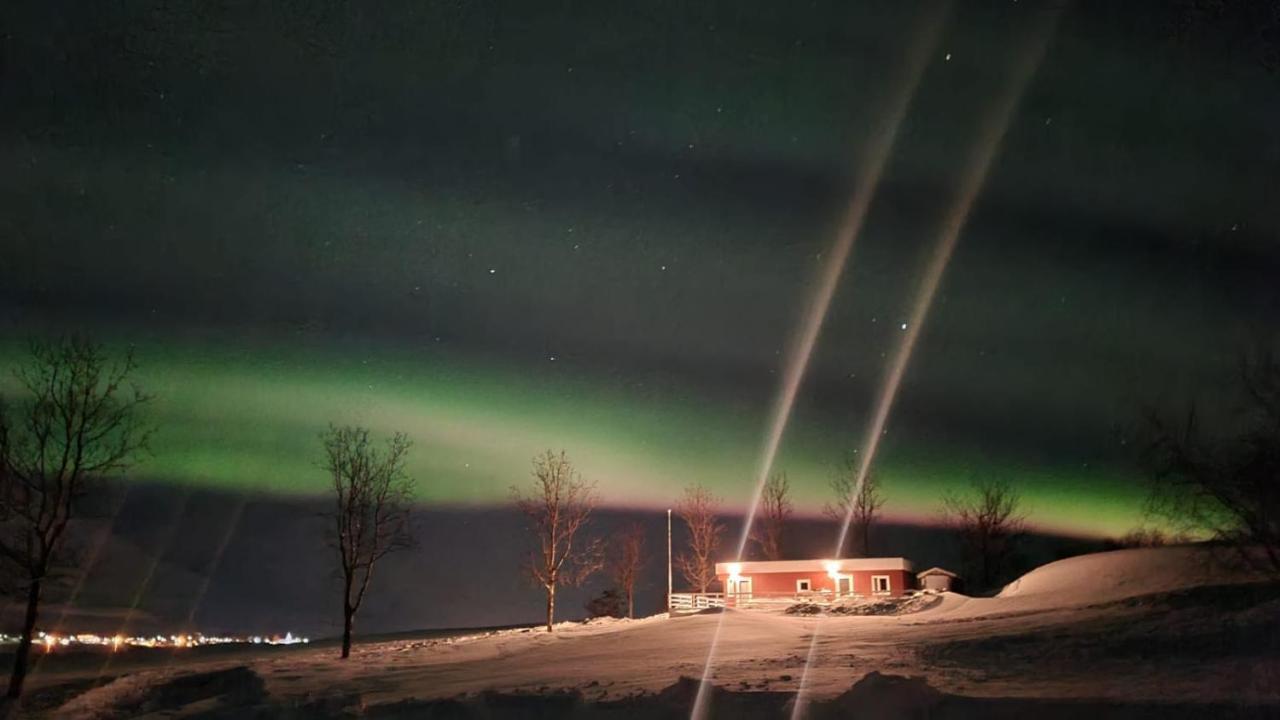 Hoefthi Cottages Dalvík Eksteriør bilde