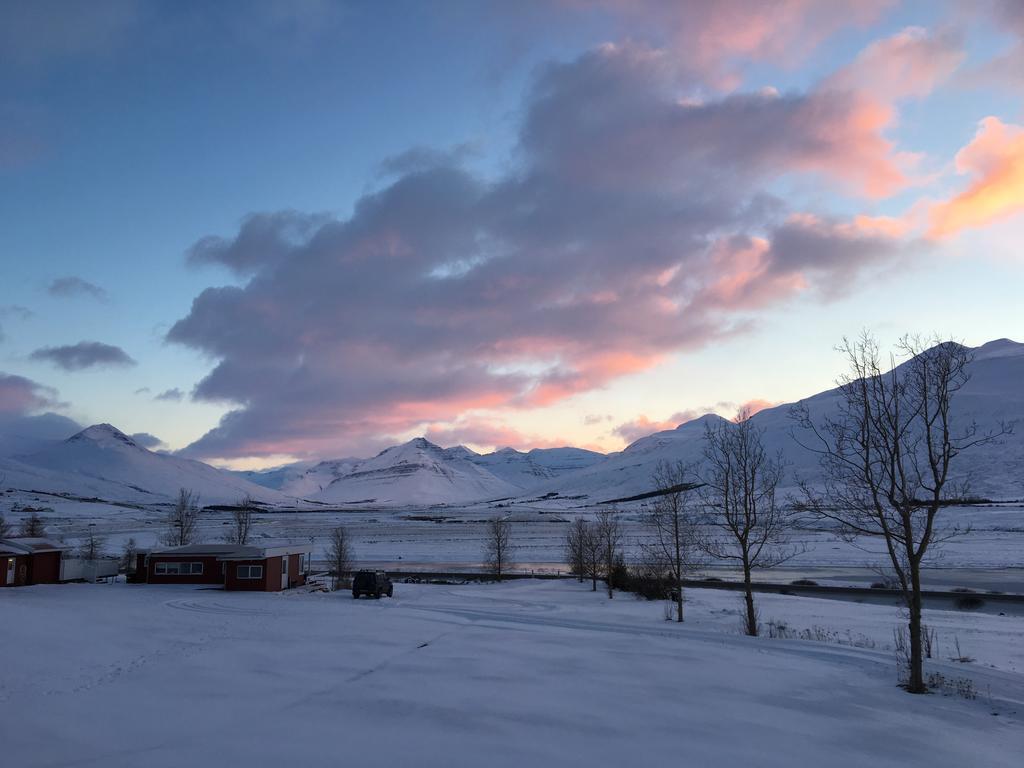 Hoefthi Cottages Dalvík Eksteriør bilde